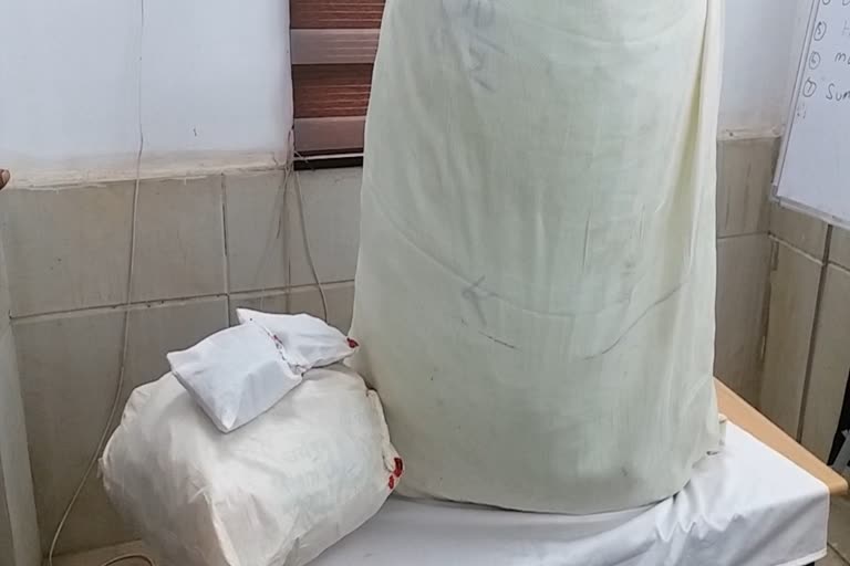 Drug smuggler arrested in Morena, 68 kg hemp worth Rs 10 lakh seized