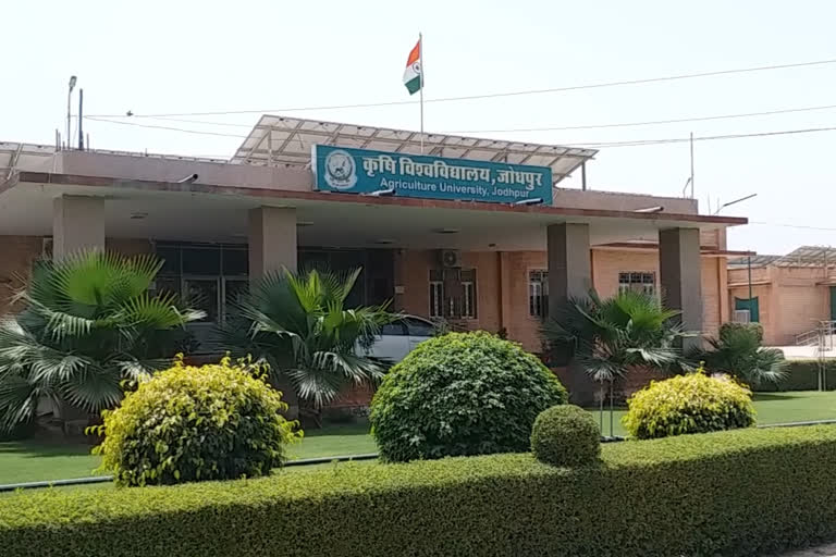 Jodhpur Agricultural University, राजस्थान की ताजा हिंदी खबरें