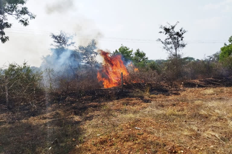 Fire at Konanur Forest Area