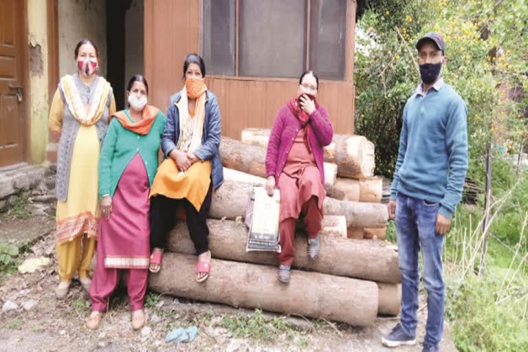 forest-department-caught-27-logs-in-the-forest-of-badagran