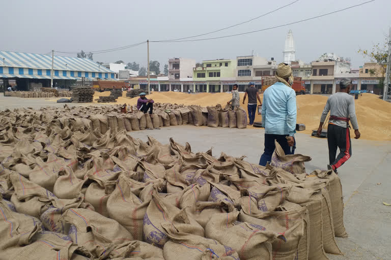 Aadhti protested Gohana Grain Mandi