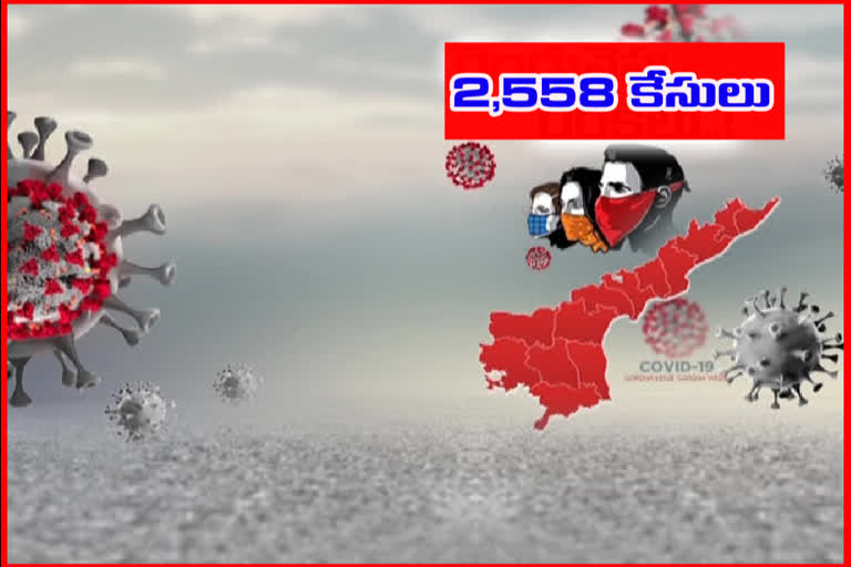 రాష్ట్రంలో కరోనా కల్లోలం.. తాజాగా 2558 కేసులు, 6 మరణాలు