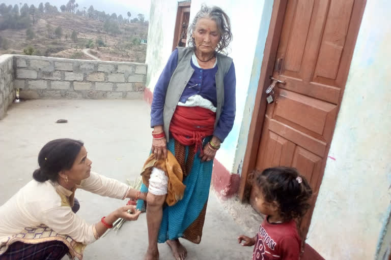 uttarkashi monkey attack