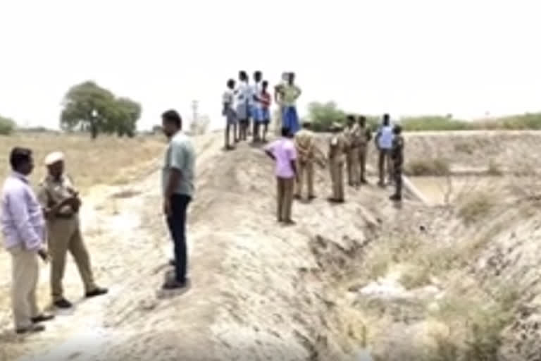 leopard-roaming-in-viruthunagar