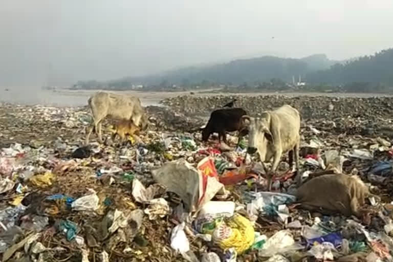 Forest Department action on throwing garbage on the banks of river Yamuna in paonta sahib