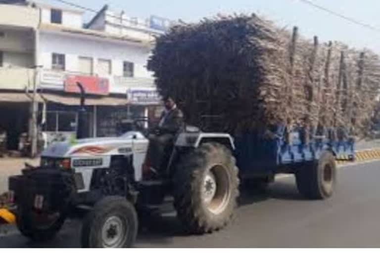 sugarcane-vehicles