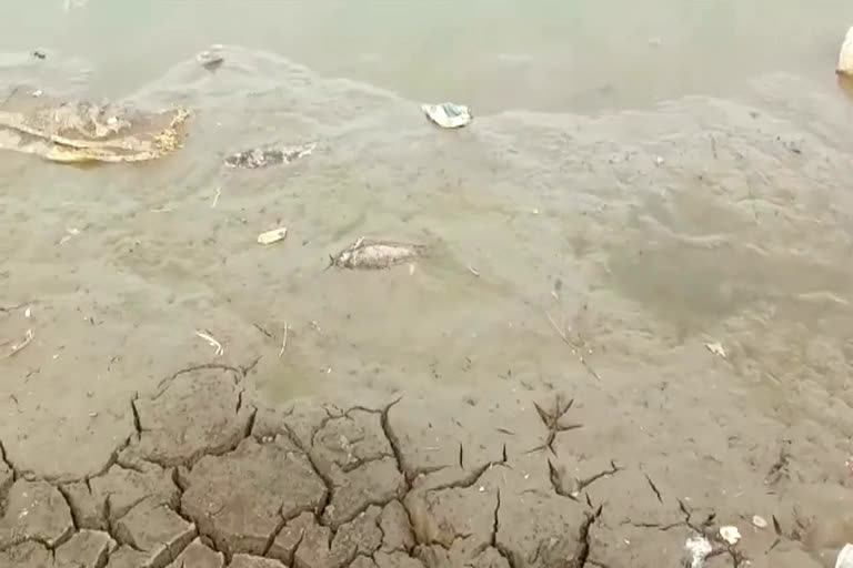 Rajasthan News,  Asawara Mata pond is drying