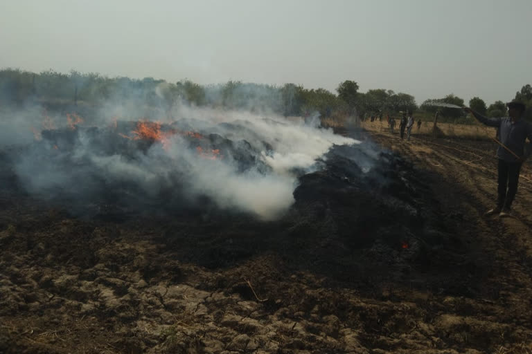 Sawai Madhopur news, electric wire fell in wheat field