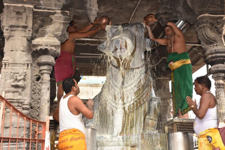 அண்ணாமலையார் கோயிலில் பிரதோஷ வழிபாடு