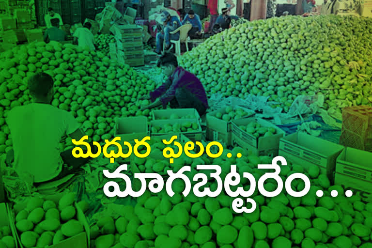 temporary methods to ripening mangoes in telanganatemporary methods to ripening mangoes in telangana