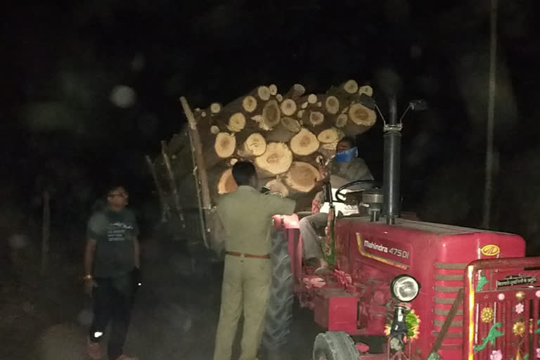 Illegal Wood in Jalore, Illegal Transport of Wood in Jalore