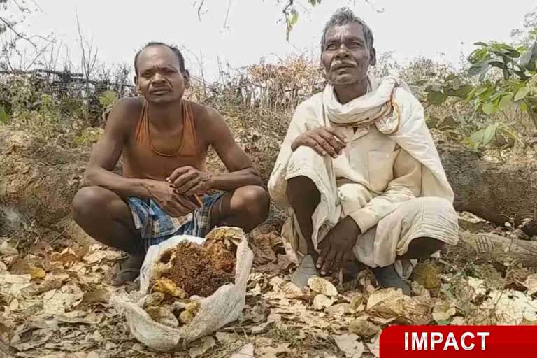 Processing plant for honey and wax in palamu