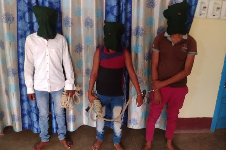 three cyber criminal arrested in jamtara