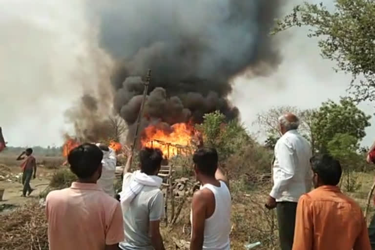 Fire breaks out in eight cattle sheds