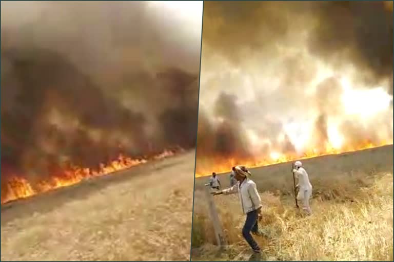 panipat 100 acres land fire