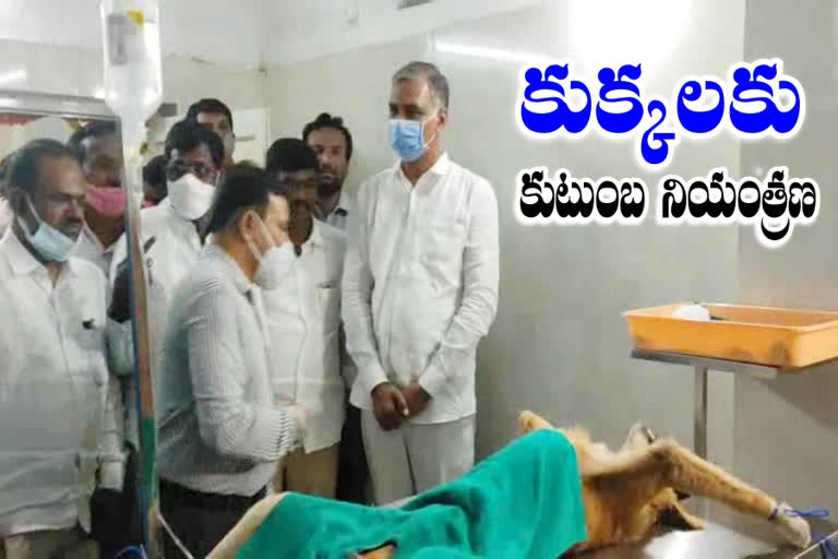 minister harish rao, siddipet latest news