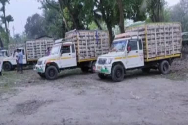 ধুবুৰীত কাৰ নেতৃত্বত চলিছে ব্ৰইলাৰ চিণ্ডিকেট ?