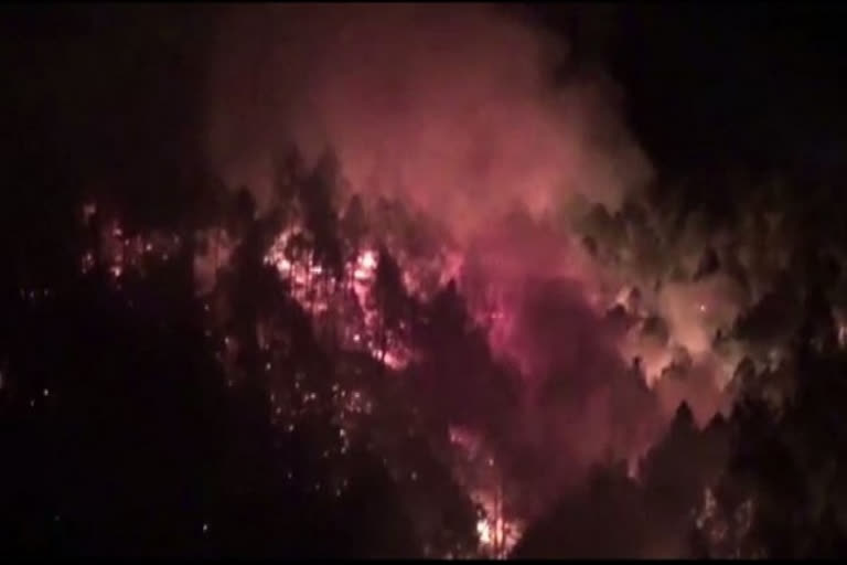 Operation underway to douse forest fire in Uttarakhand's new Tehri district