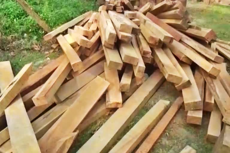 illegal-woods-and-wood-mill-seized