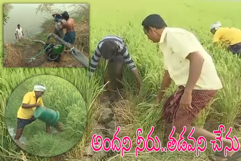 farmers faced irrigation water struggles in west godawari