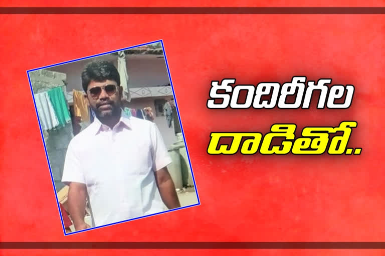 Former student died with bees attack, warangal urban district crime news