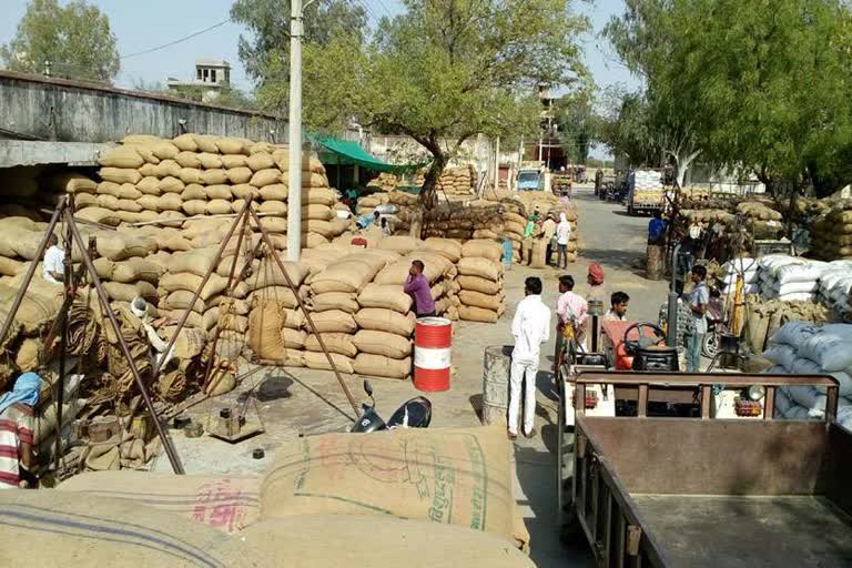 haryana farmers news, हरियाणा गेहूं खरीद रोक 18 मंडी