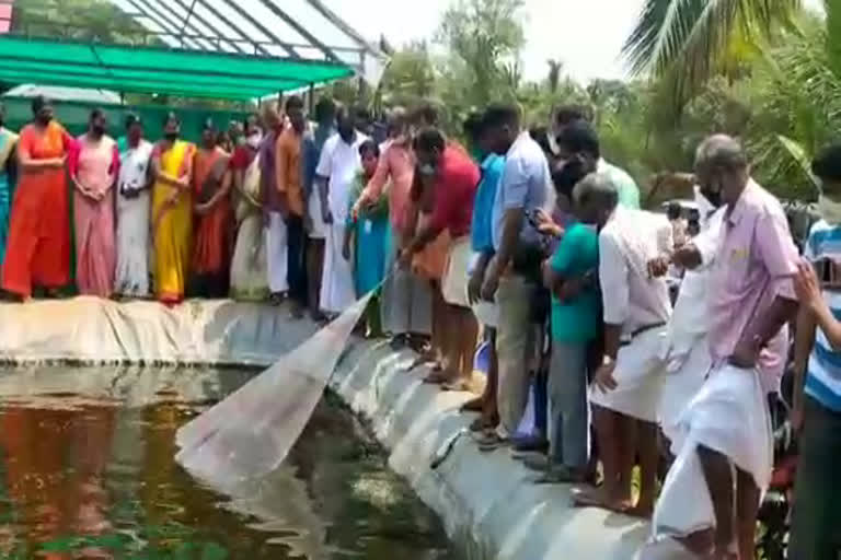 kannur fish farms  kannur news  fish farm  കണ്ണൂർ വാർത്തകൾ  മത്സ്യക്കൃഷി