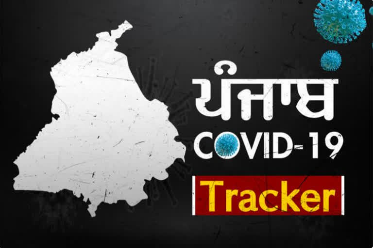 covid tracker punjab