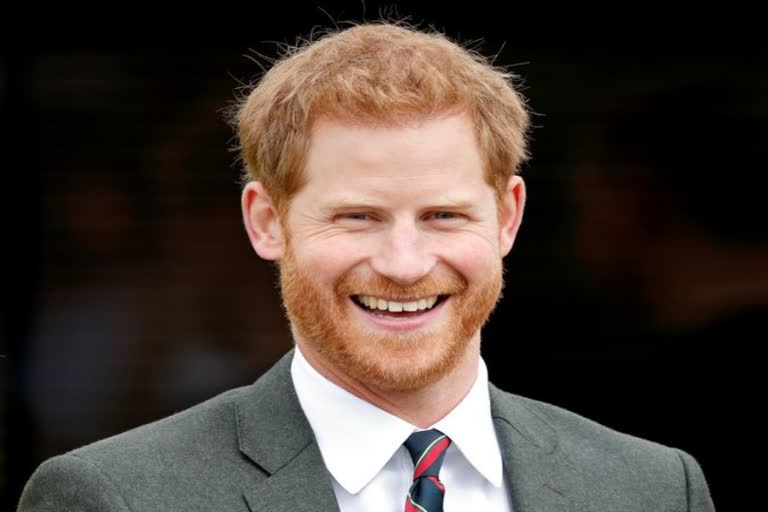 Punjab Haryana High Court Prince Harry petition