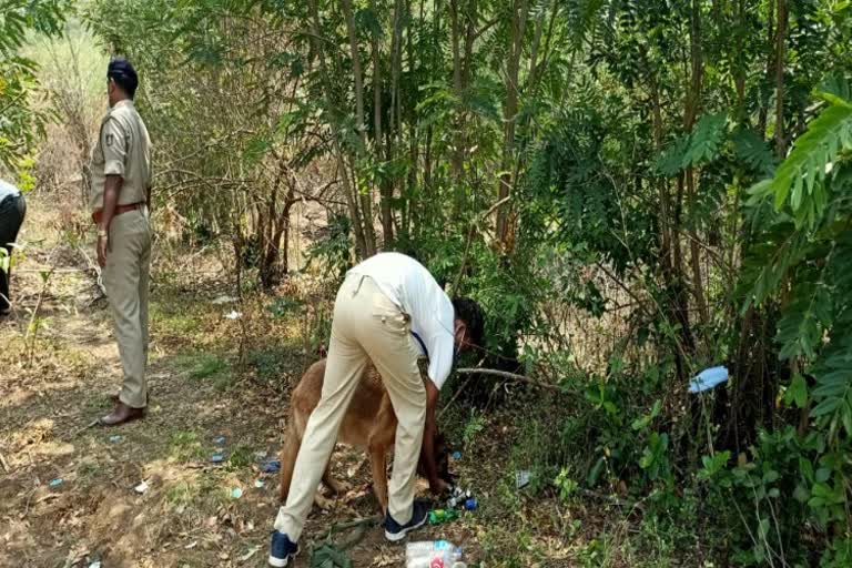 deadbody found with seperated body parts  in hubli