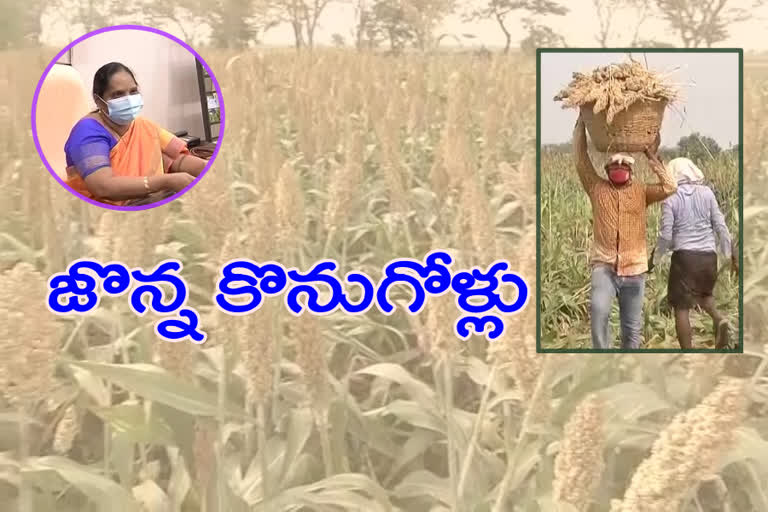 sorghum buying arrangements in Guntur