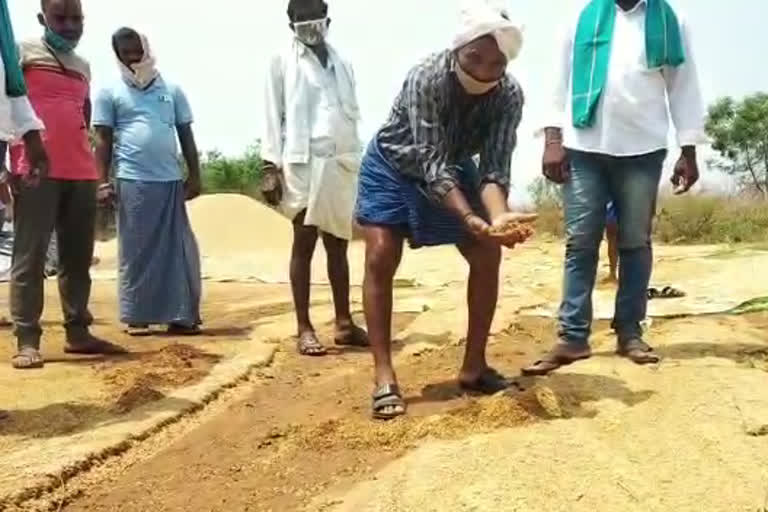 Washed rice grain