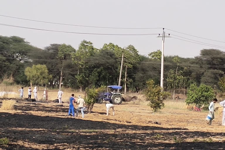 Bhiwani Fire in wheat crop due to short circuit