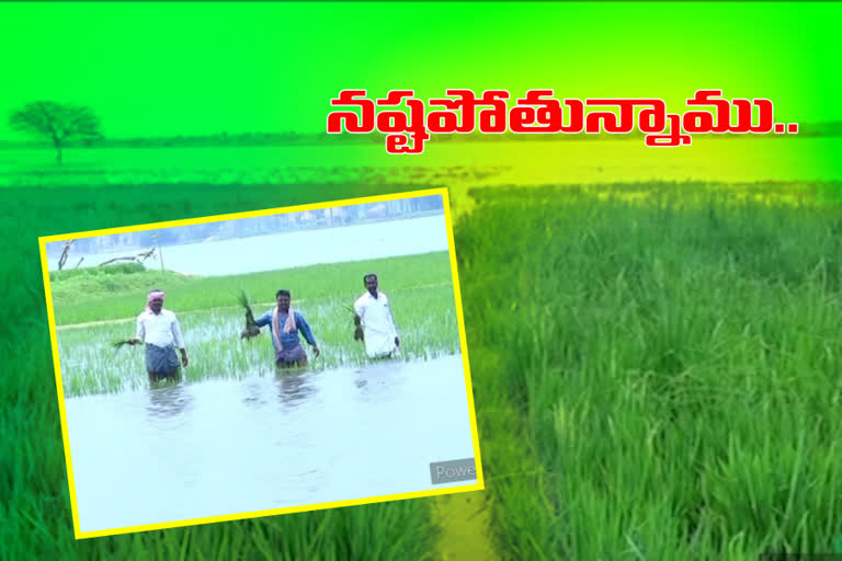 farmers are loss by kaleshwaram water