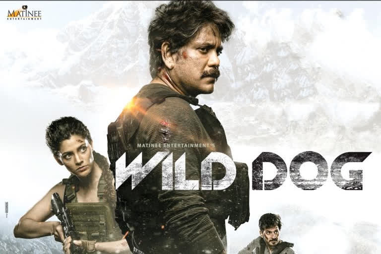 Wild Dog to be release on OTT in may 3rd week