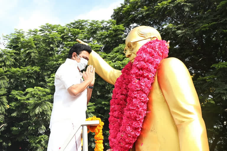 Dmk leader stalin respect to ambedkar