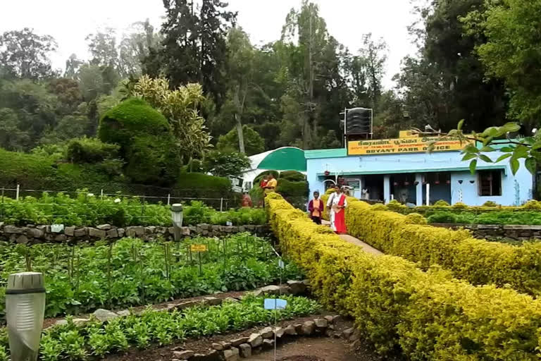 kodaikanal