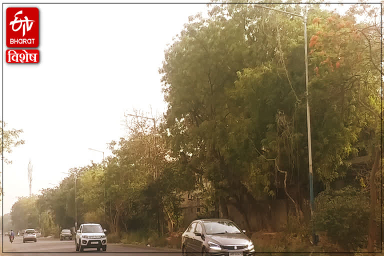 faridabad street lights