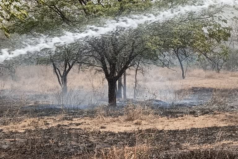 दमकल कर्मियों ने बुझाई आग, माउंट आबू सिरोही समाचार,  Fire in the jungles of Mount Abu,  Forest Department workers and fire personnel arrived
