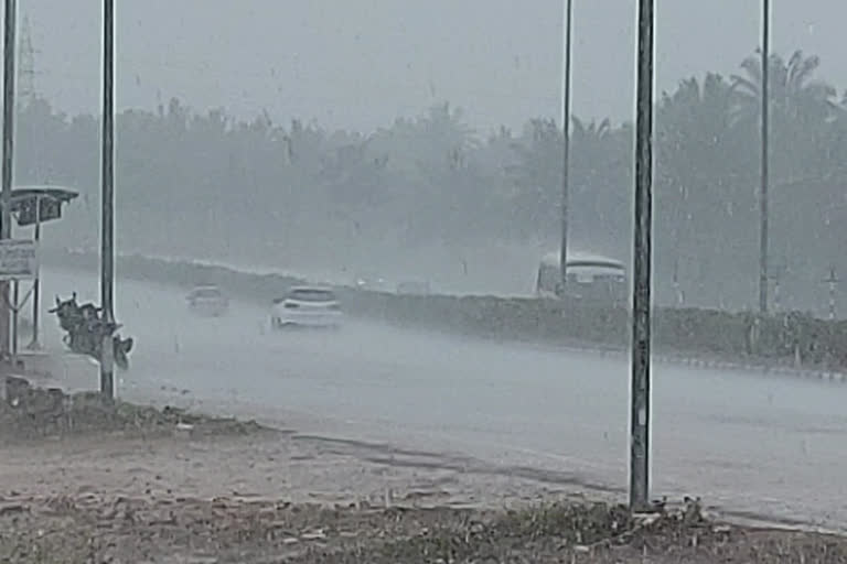 Heavy rain, Heavy rain in Hassan, Hassan Heavy rain, Hassan Heavy rain news, ಭಾರಿ ಮಳೆ, ಹಾಸನದಲ್ಲಿ ಭಾರಿ ಮಳೆ, ಹಾಸನ ಮಳೆ, ಹಾಸನ ಮಳೆ ಸುದ್ದಿ,