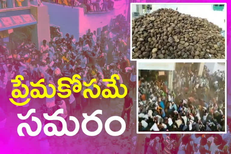 kairuppa  cow dung  fight celebrations at kairuppa