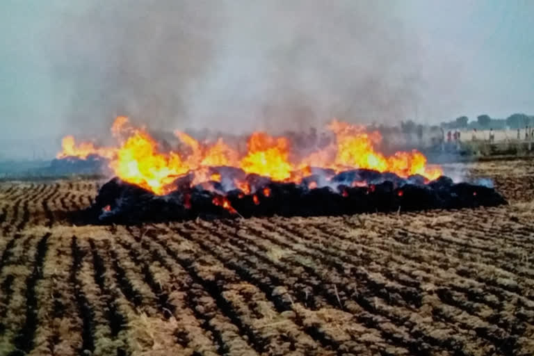 Loss of millions to farmers