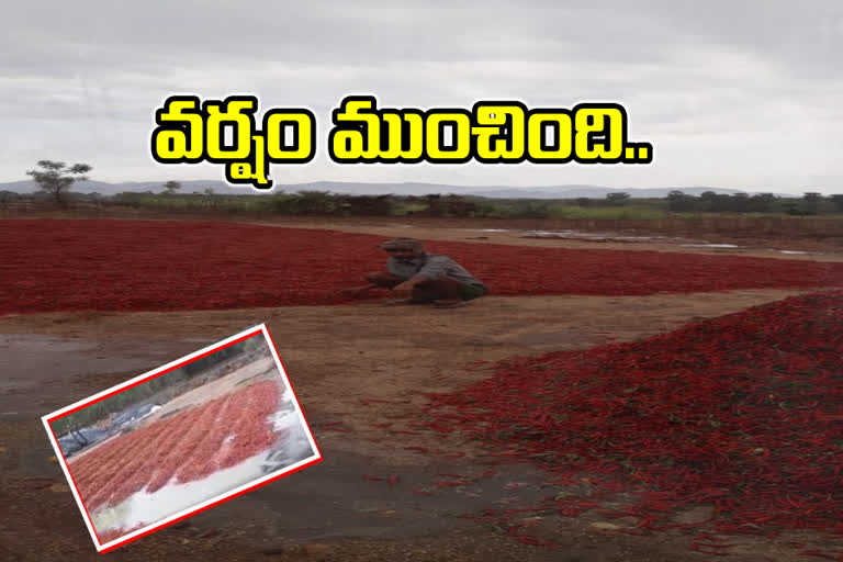 sudden rains at east godavari