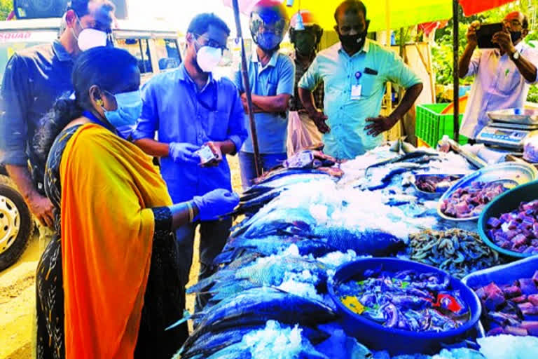 Corporation seized Bad fish fish in inspection  Alappuzha Municipal Corporation seized Bad fish  ആലപ്പുഴയിൽ നഗരസഭയുടെ മിന്നൽ പരിശോധന  പഴകിയ മത്സ്യം പിടിച്ചെടുത്തു