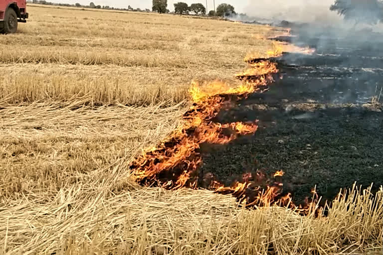Sangod news, fire in Wheat farm