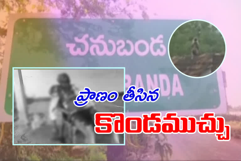 man died in a road accident with monkey attack in chanugonda krishna district