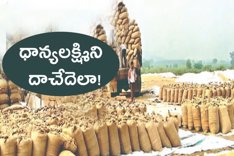 grain collection in telangana