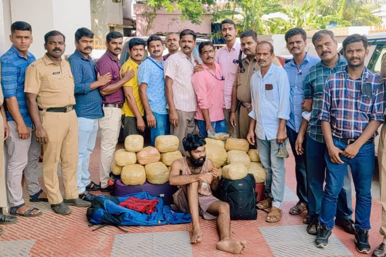 A man was arrested with 51 kg of cannabis at Kanchikode  A man was arrested  51 kg of cannabis  Kanchikode  man was arrested with 51 kg of cannabis  cannabis  പാലക്കാട് വന്‍ കഞ്ചാവ് വേട്ട; 51 കിലോ കഞ്ചാവുമായി യുവാവ് പിടിയില്‍  പാലക്കാട് വന്‍ കഞ്ചാവ് വേട്ട  51 കിലോ കഞ്ചാവുമായി യുവാവ് പിടിയില്‍  വന്‍ കഞ്ചാവ് വേട്ട  കഞ്ചാവ്  യുവാവ് പിടിയില്‍  എക്സൈസ്