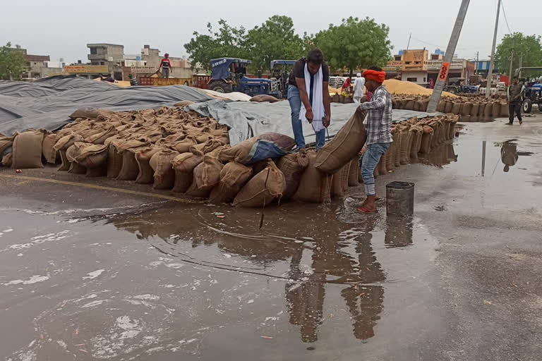 Charkhi Dadri grain market rain