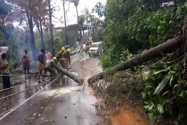 Heavy rains in idukki  Heavy rains in high range  ഹൈറേഞ്ചിൽ മഴ ശക്തമായി തുടരുന്നു  ഹൈറേഞ്ചിൽ മഴ ശക്തം